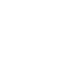 Flush Casino